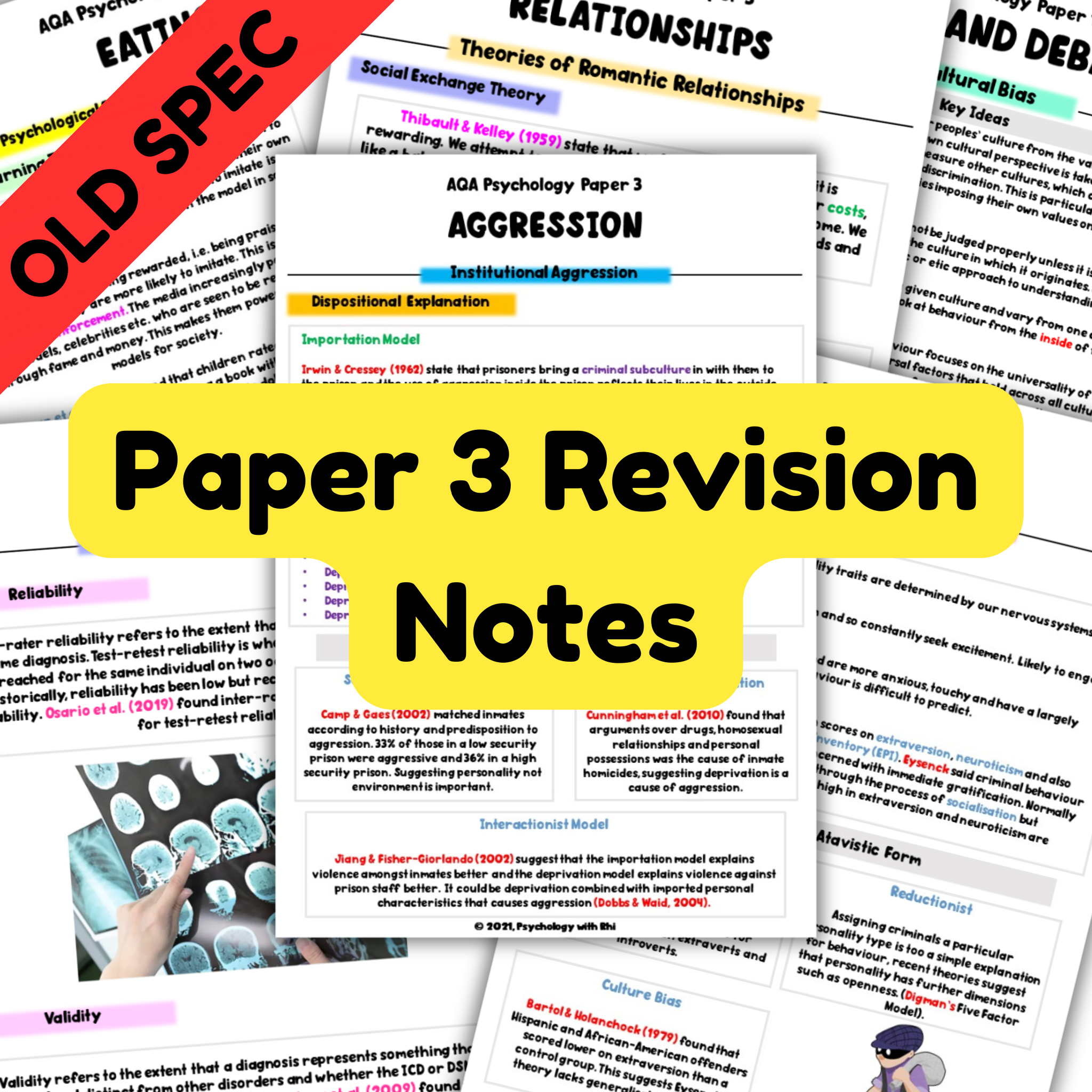 Paper 3 Revision Notes | A Level Psychology (AQA) OLD SPEC